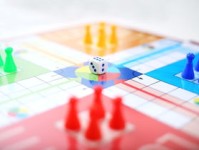 2024年经济展望，机遇与挑战并存，理财策略新篇章