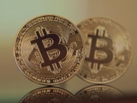 量化投资，解密PDF中的财富密码